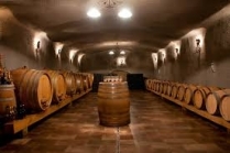  aplicaciones HUMIDIFICACION EN BODEGAS